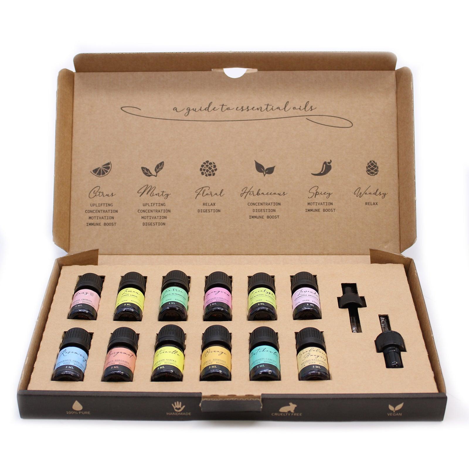 Aromatherapy Essential Oils Set - The Top 12 - Charming Spaces