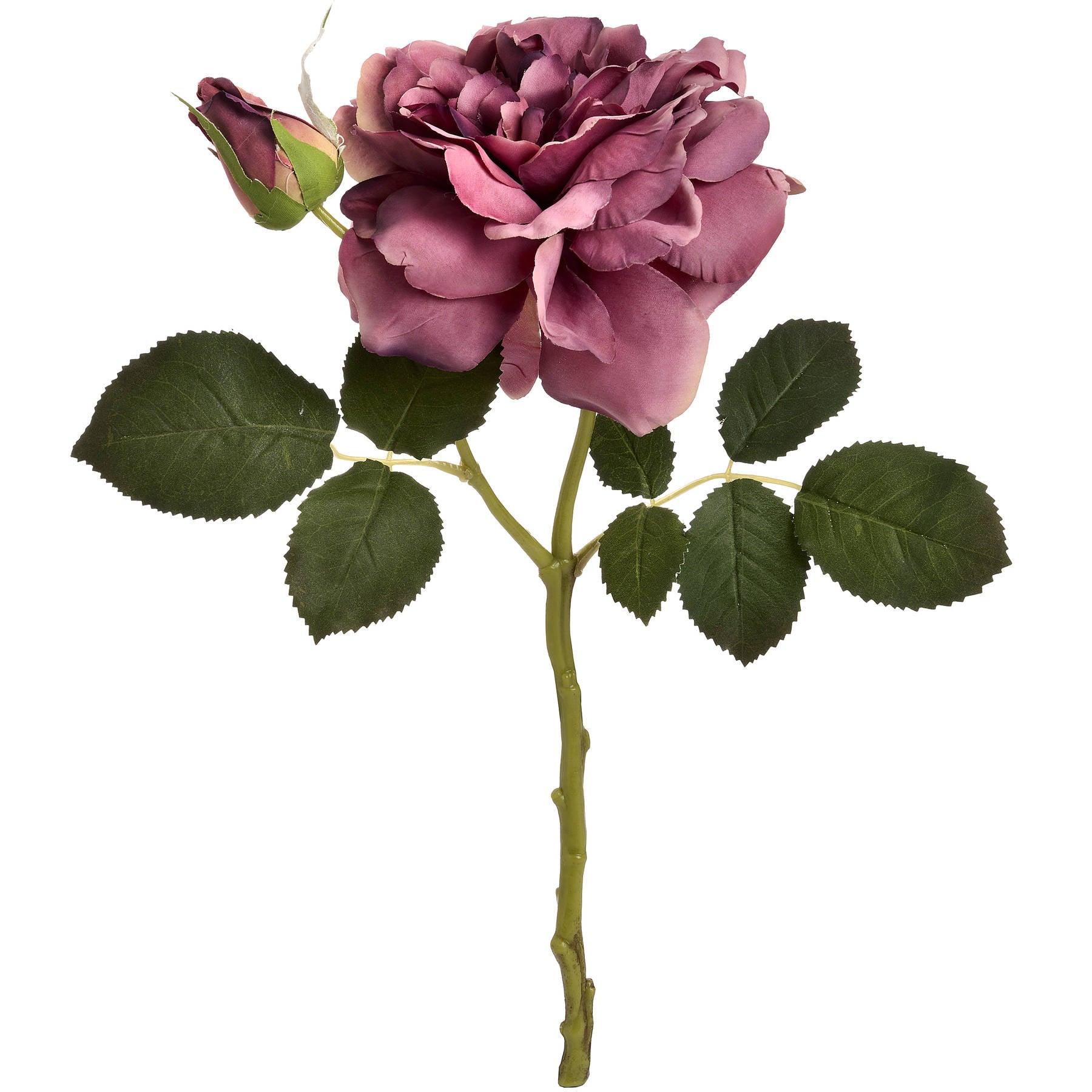 Dusty Pink Short Stem Fashion Rose - Charming Spaces